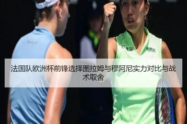 法国队欧洲杯前锋选择图拉姆与穆阿尼实力对比与战术取舍
